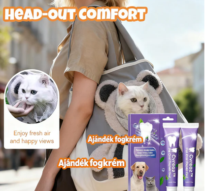 🐶🐱Aranyos mackós kisállathordozó🎀