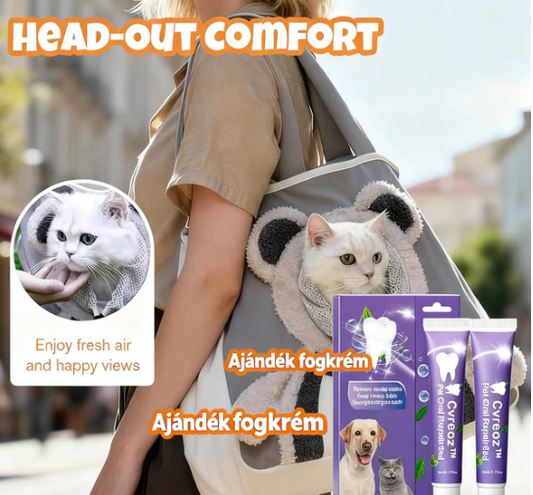 🐶🐱Aranyos mackós kisállathordozó🎀