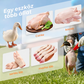 🦆🐓 Elektromos baromfi-tolltépő gép