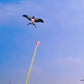 🦜🪁Innovatív horgászbot-sárkányok✨✨Könnyen irányítható, végtelen szabadtéri szórakozás a gyerekeknek!