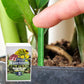 🌱 Hosszú hatástartamú növényi tápanyag-rudak – kiegyensúlyozott NPK-összetétel a gyökerek, a levelek és a virágok számára!  🌿✨