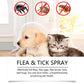 🍃 Természetes bolha- és kullancsirtó spray kutyáknak és macskáknak 🐾  🐶🐱✨