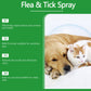 🍃 Természetes bolha- és kullancsirtó spray kutyáknak és macskáknak 🐾  🐶🐱✨