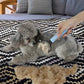 🐕✂️ Állat Szőrtelenítő KeFe – Raktáron & Utánvétes 🐶✨