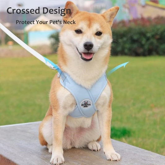 🐕 X-alakú húzásgátló kutya hám pórázzal